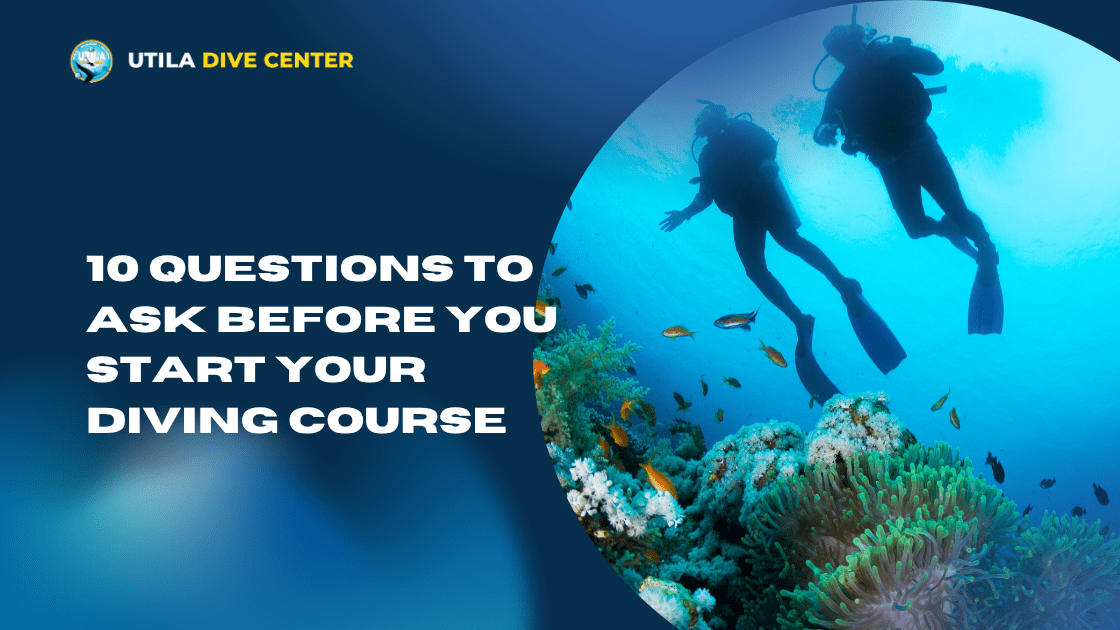 10 Questions to Ask Before You Start Your Diving Course