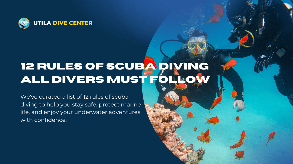 12 Rules of Scuba Diving All Divers Must Follow