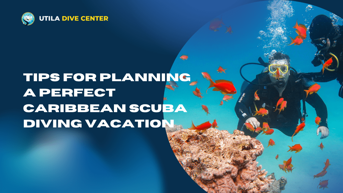 Tips for Planning a Perfect Caribbean SCUBA Diving Vacation