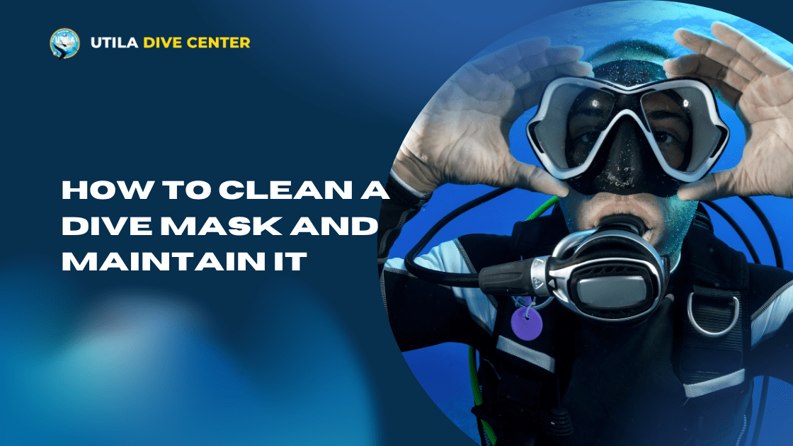 How to Clean a Dive Mask and Maintain It