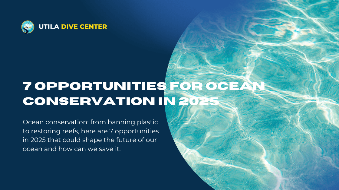 7 Opportunities for Ocean Conservation in 2025