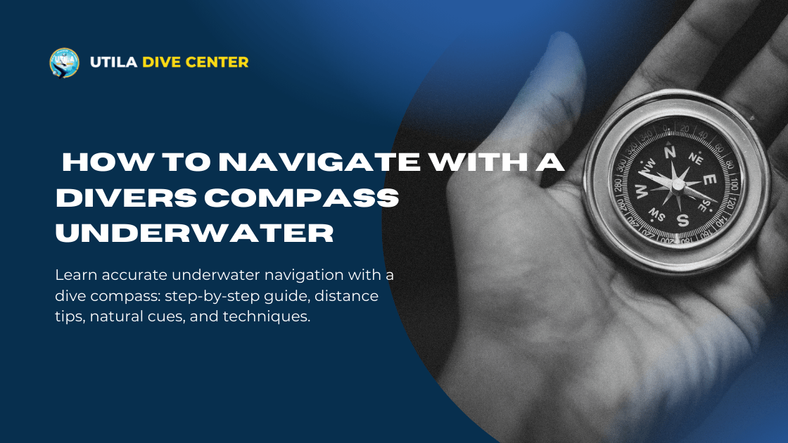 How to Navigate With a Divers Compass Underwater