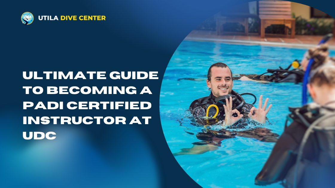 Ultimate Guide to Becoming a PADI Certified Instructor at UDC
