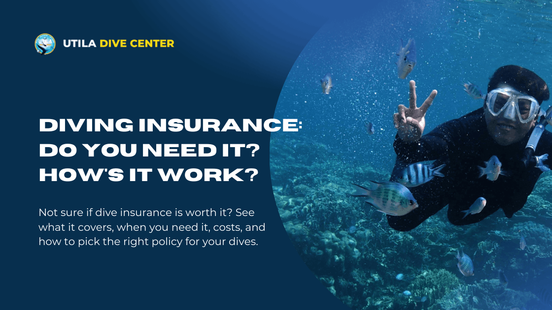 Diving Insurance: Do You Need It? How's It Work?