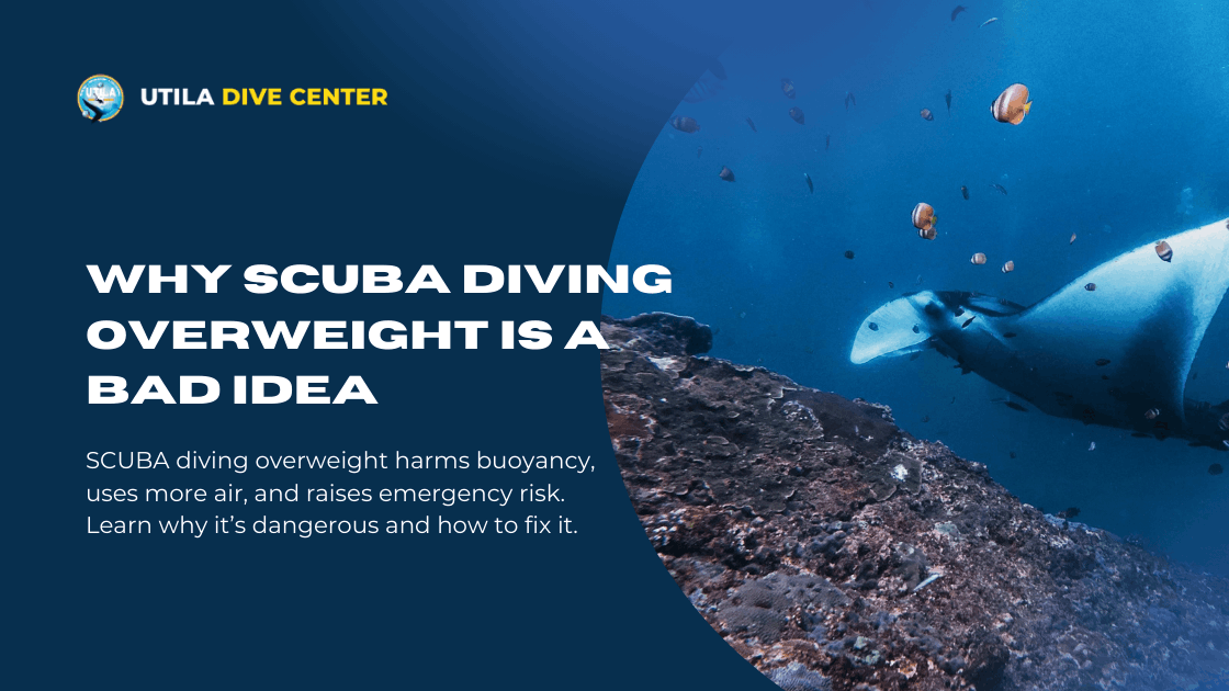 Why SCUBA Diving Overweight Is a Bad Idea