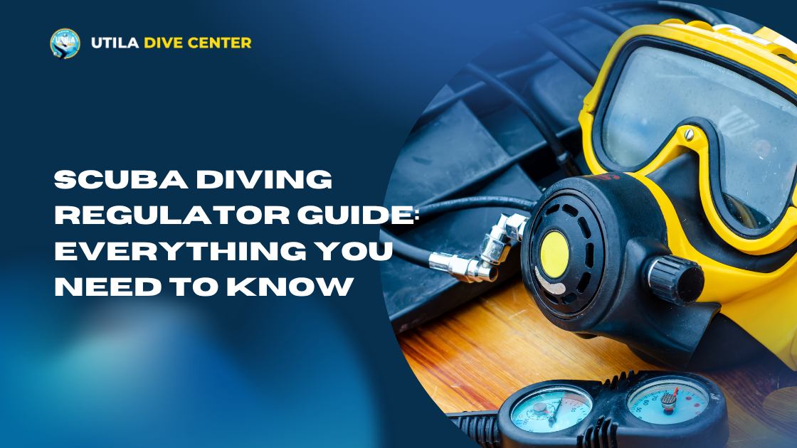 SCUBA Diving Regulator Guide: Everything You Need to Know