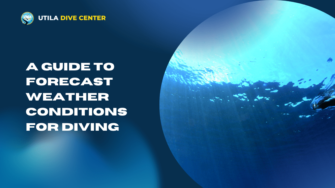 A Guide to Forecast Weather Conditions for Diving