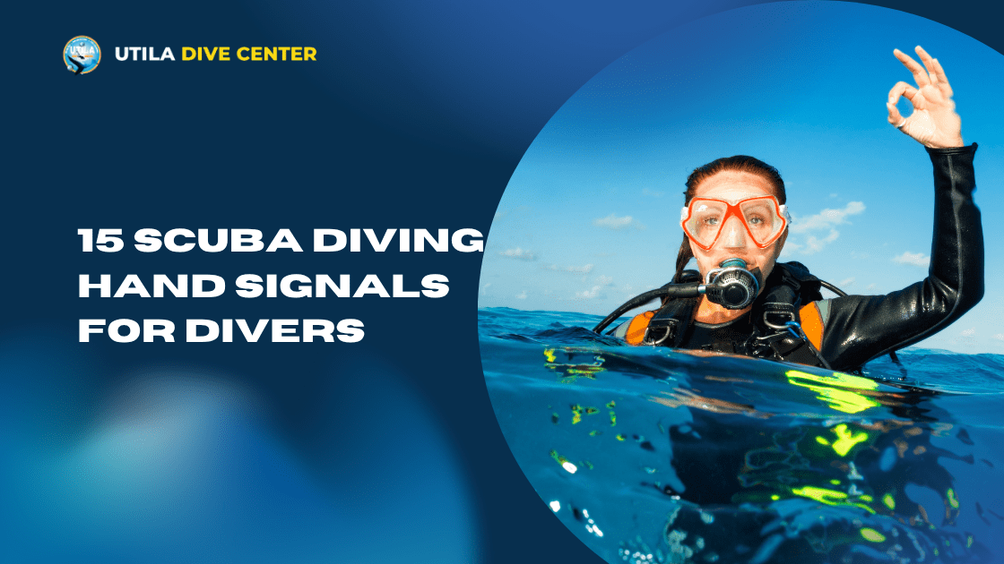 15 SCUBA Diving Hand Signals for Divers