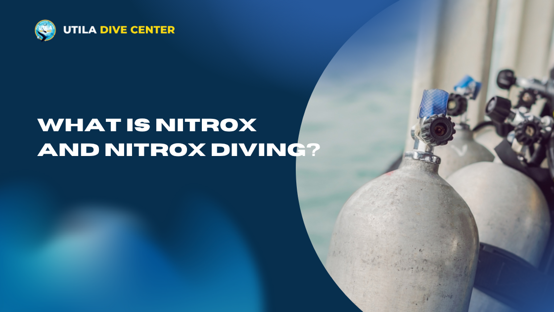 What Is Nitrox and Nitrox Diving