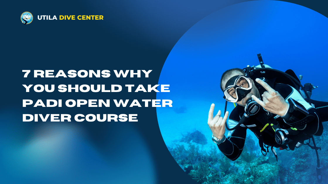 7 Reasons Why You Should Take PADI Open Water Diver Course