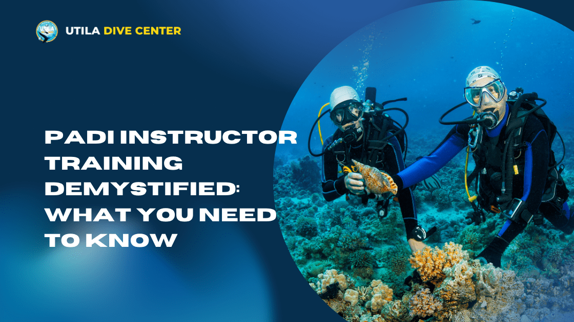 PADI Instructor Training Demystified: What You Need to Know