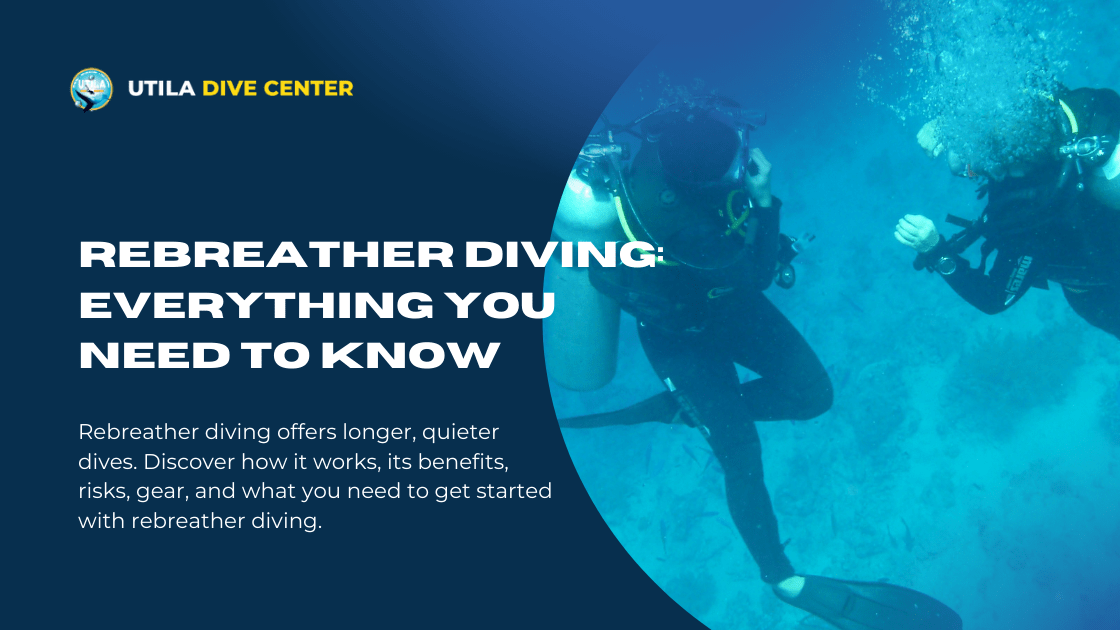 Rebreather Diving: Everything You Need to Know