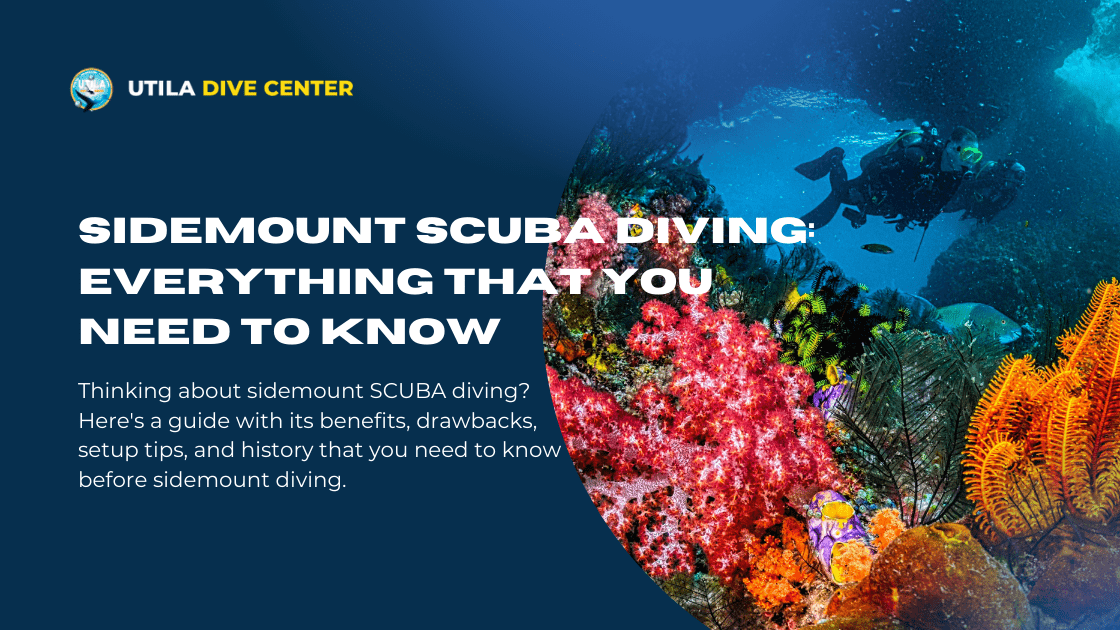 Sidemount SCUBA Diving: Everything That You Need To Know