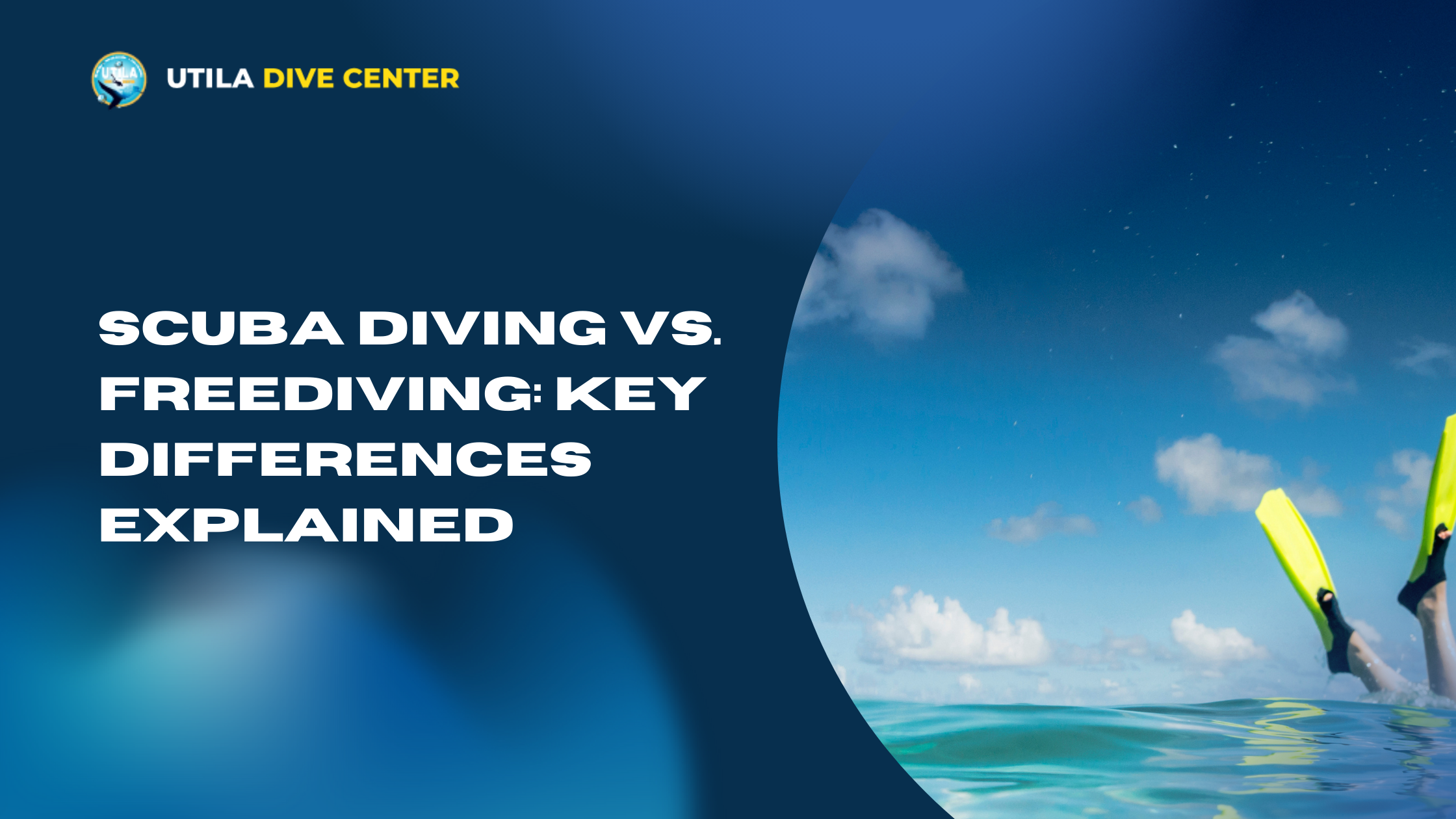 Scuba Diving vs. Freediving: Key Differences Explained