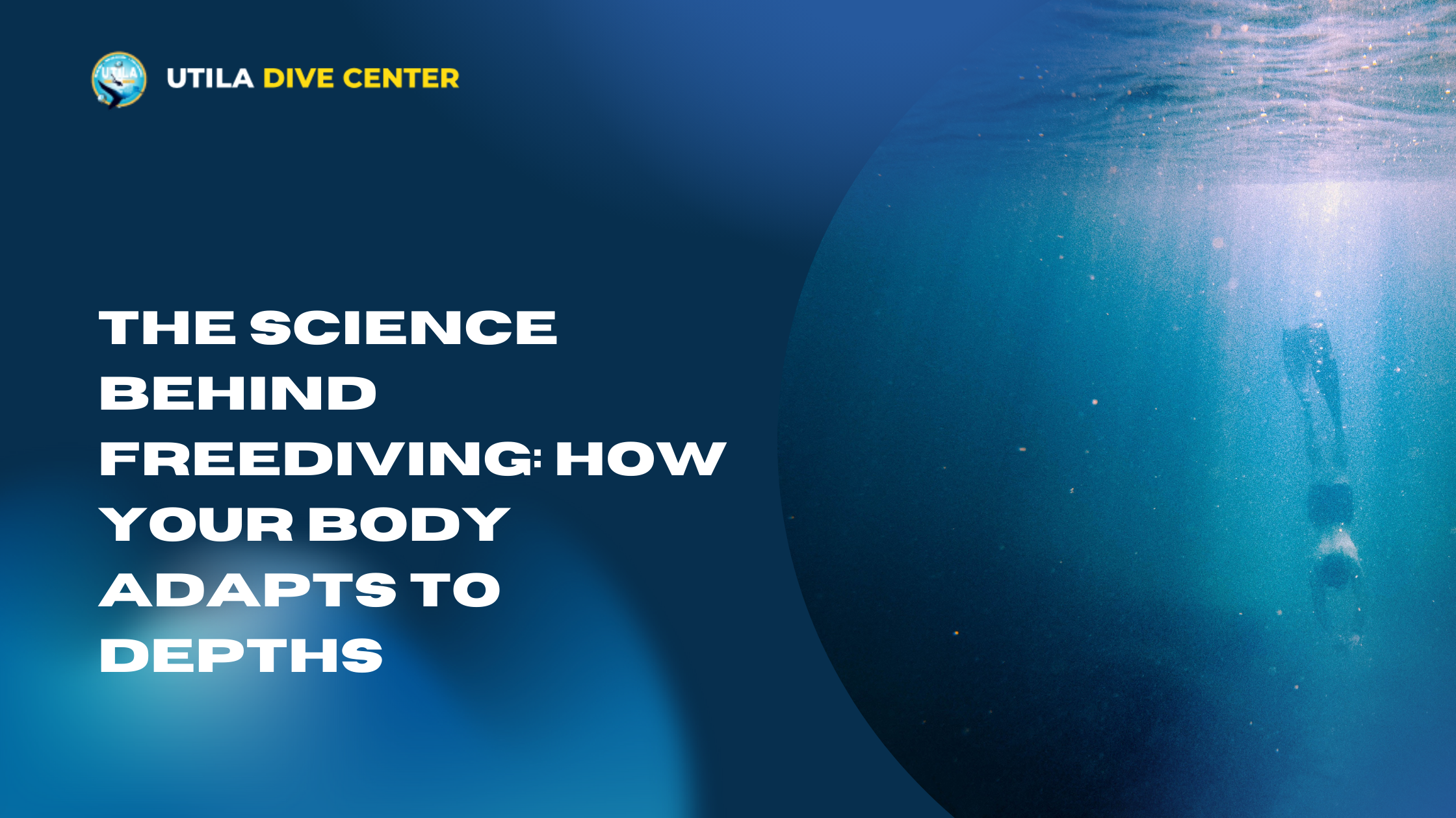 The Science Behind Freediving: How Your Body Adapts to Depths
