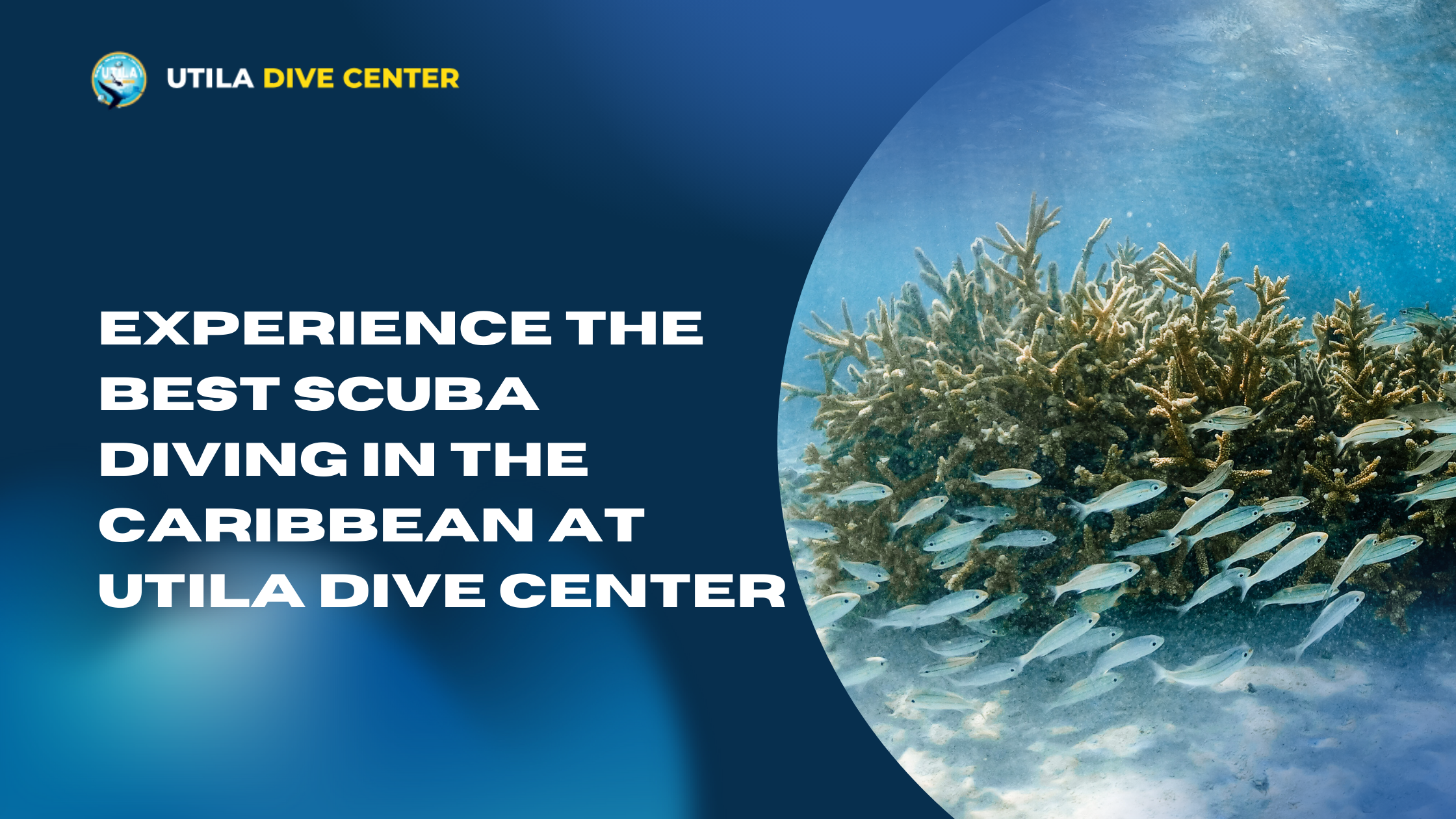 Experience the Best SCUBA Diving in the Caribbean at Utila Dive Center